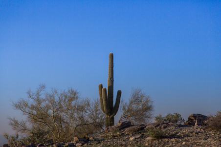 Enlarge photo 14