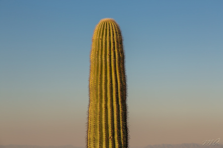 Enlarge photo 30