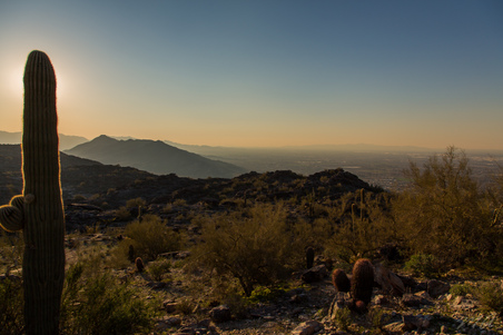Enlarge photo 38