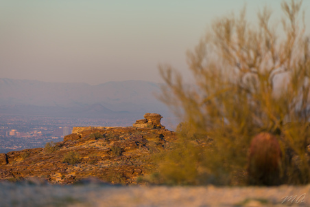 Enlarge photo 81