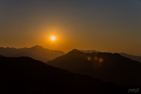 Enlarge photo 87