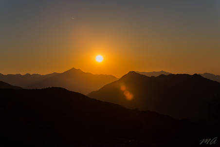 Enlarge photo 92