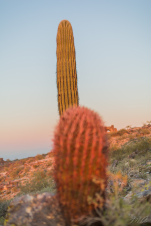Enlarge photo 152