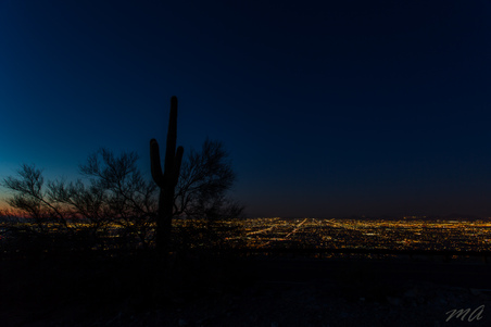Enlarge photo 169