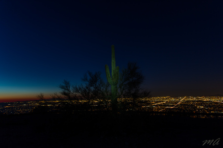 Enlarge photo 172