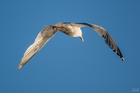 Enlarge photo 25