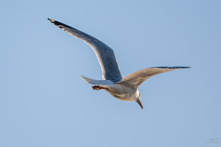 Enlarge photo 30