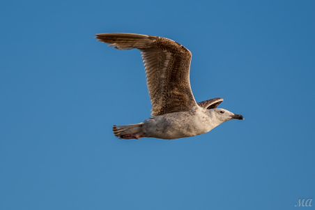 Enlarge photo 32