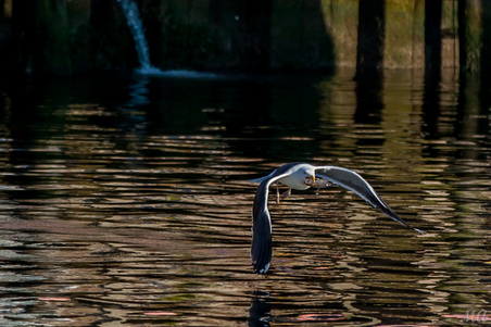 Enlarge photo 43