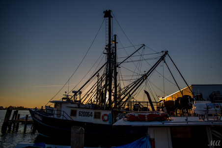 Enlarge photo 99