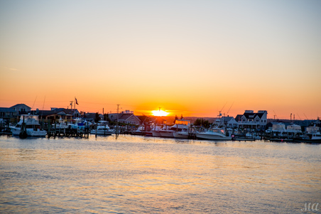 Enlarge photo 137