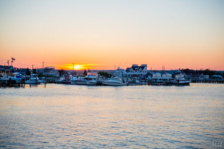 Enlarge photo 164