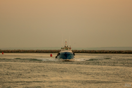 Enlarge photo 167
