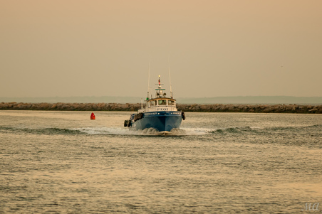 Enlarge photo 168