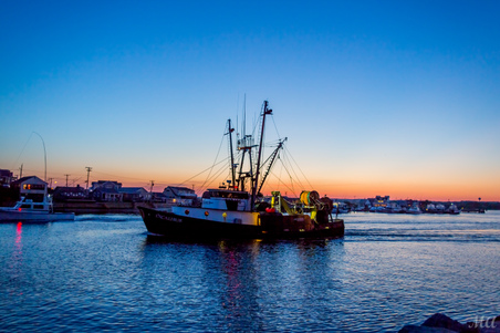 Enlarge photo 177