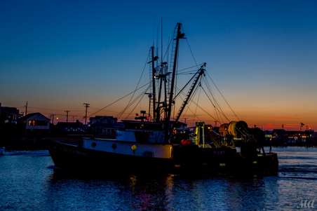 Enlarge photo 179