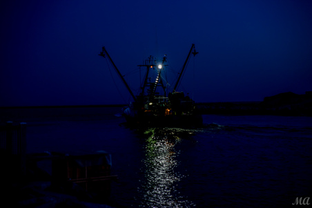 Enlarge photo 182