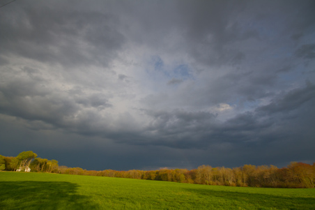 Enlarge photo 51