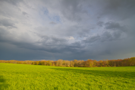 Enlarge photo 52