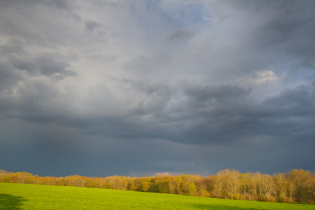 Enlarge photo 53