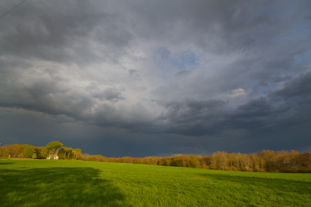 Enlarge photo 54