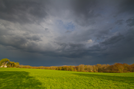 Enlarge photo 55