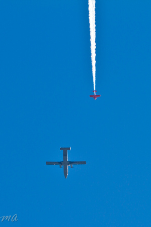 Enlarge photo 90