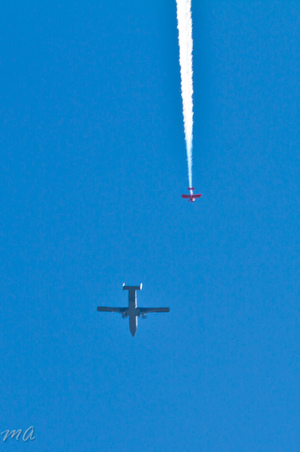 Enlarge photo 91