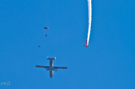 Enlarge photo 93