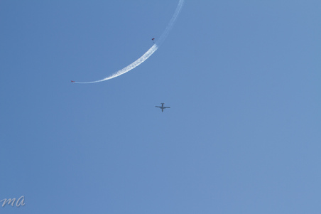 Enlarge photo 95