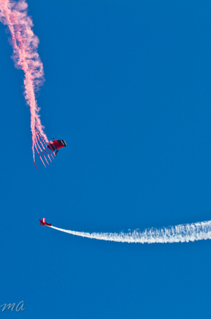 Enlarge photo 121