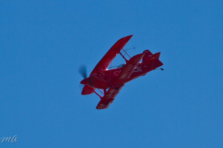Enlarge photo 157