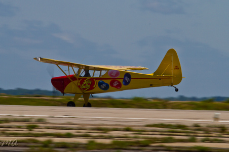 Enlarge photo 228