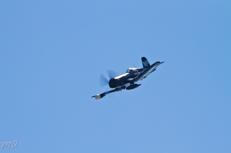Enlarge photo 267