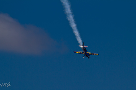 Enlarge photo 357