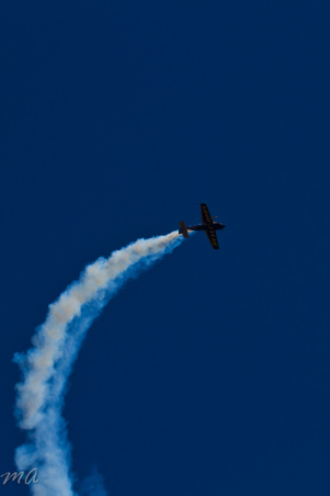 Enlarge photo 363