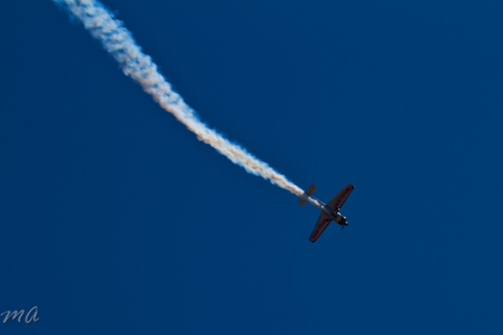 Enlarge photo 366