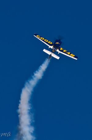 Enlarge photo 379