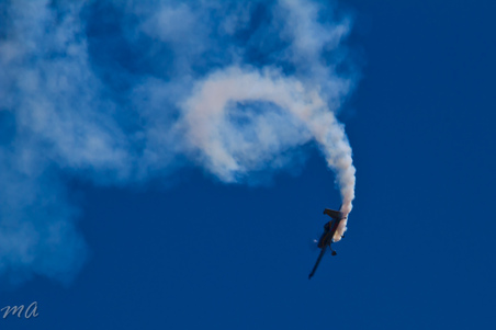 Enlarge photo 380