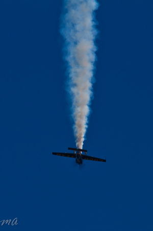 Enlarge photo 381