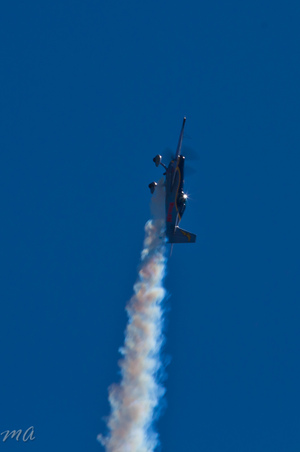 Enlarge photo 383
