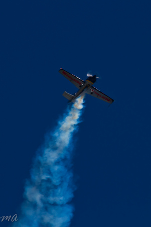 Enlarge photo 385