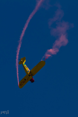 Enlarge photo 391