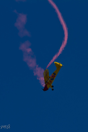 Enlarge photo 392