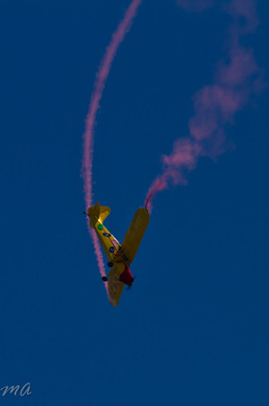 Enlarge photo 393