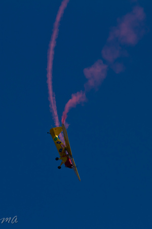 Enlarge photo 394