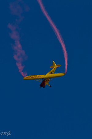 Enlarge photo 395