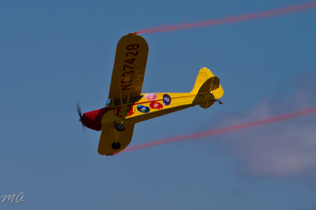 Enlarge photo 396