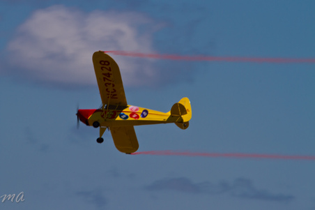 Enlarge photo 397