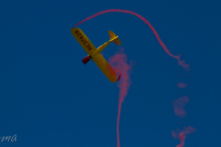Enlarge photo 398